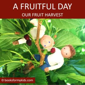 A Frutitful Day - Our Fruit Harvest